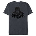 thumbnail image 1 of Rise of the Planet of the Apes Monochrome Caesar Glare - Short Sleeve Blended T-Shirt for Adults - Customized-Denim Snow Heather, 1 of 5