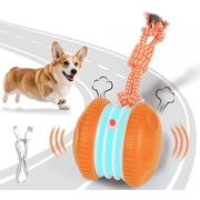 Risehigh Cat Toys for Indoor Cat Toy
