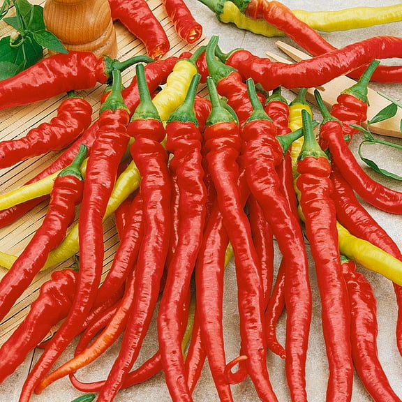 Ristra Cayenne F1 Hybrid Hot Pepper Seeds - 300 Mg Packet ~40 Seeds - Non-GMO, F1 Hybrid - Vegetable Garden - Capsicum annuum