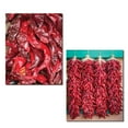 thumbnail image 1 of Ristras | Fiery Red Dried Chili Pepper Pod Photograph Prints; Two 11x14in Poster Prints, 1 of 1