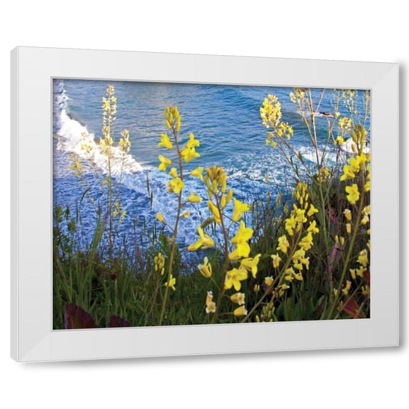 Rita Crane 18x15 White Modern Wood Framed Wall Art Titled - Wild Mustard