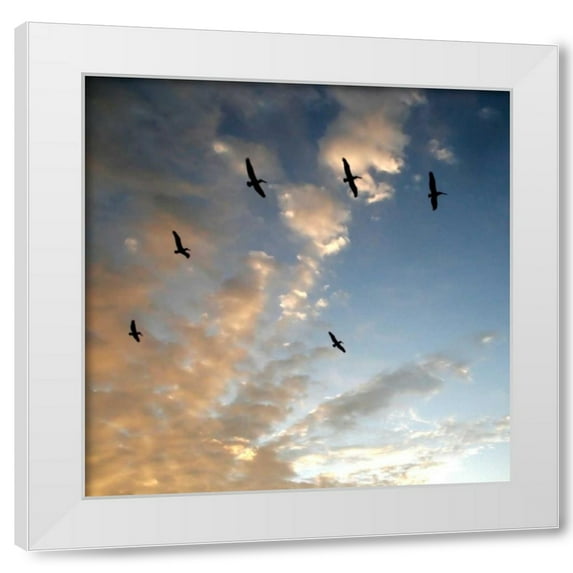 Rita Crane 26x26 White Modern Wood Framed Wall Art Titled - Pelicans at Sunset