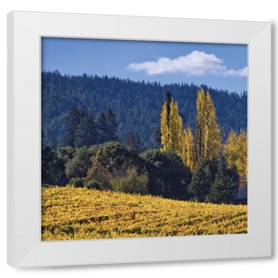 Rita Crane 4x24 White Modern Wood Framed Wall Art Titled - Autumn Gold II