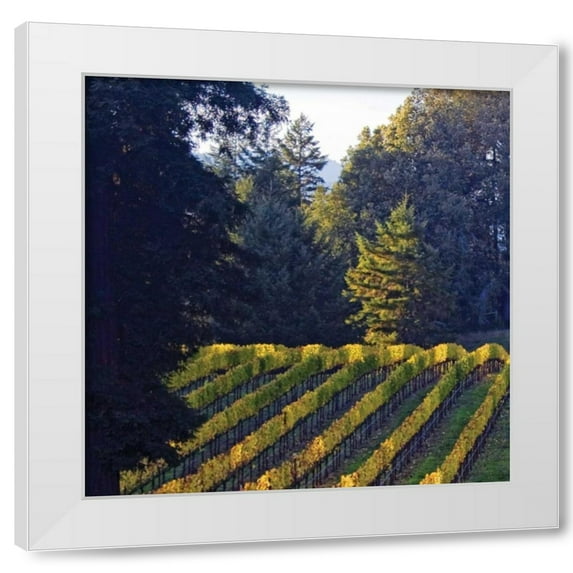 Rita Crane 4x24 White Modern Wood Framed Wall Art Titled - Golden Rows V