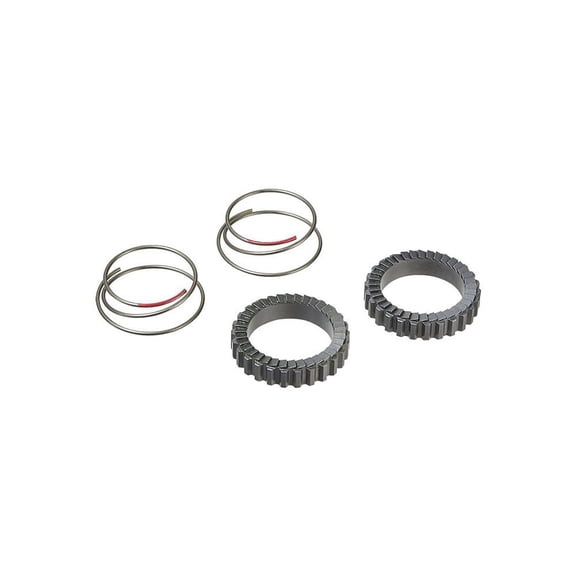 Ritchey Ratchet Rings and Spring