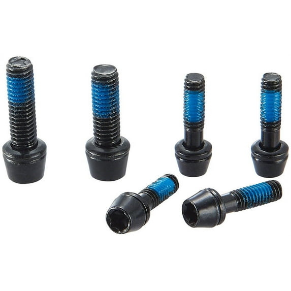 Ritchey WCS Replacement Stem Bolts C260 25 Degree Stem T20 M4 15mm M5 18mm