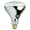 thumbnail image 1 of Rite Farm Products 250 Watt Infrared Clear Brooder Heat Lamp Light Bulb, 1 of 1