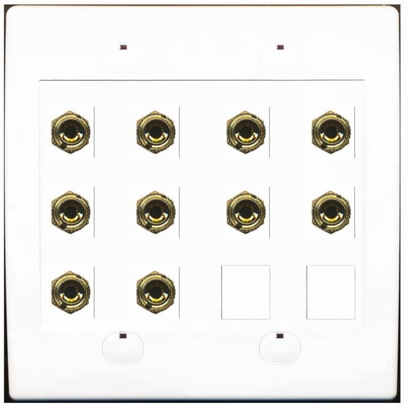 RiteAV 10 Banana 5 Speaker Surround 2G Coupler Binding Post Wall Plate 4 Pack