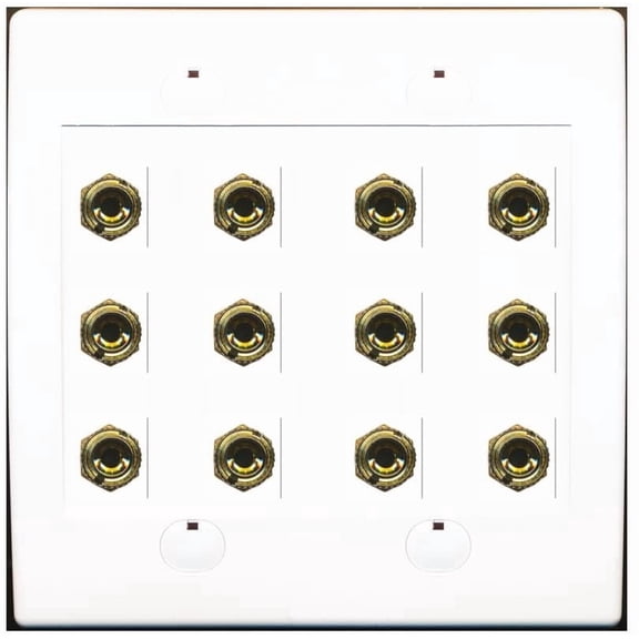 RiteAV 12 Banana 6 Speaker Surround F/F Coupler Binding Post Wall Plate 2 Pack