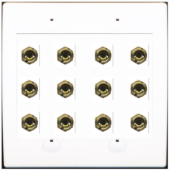 RiteAV 12 Banana 6 Speaker Surround Female Coupler Binding Post Wall Plate