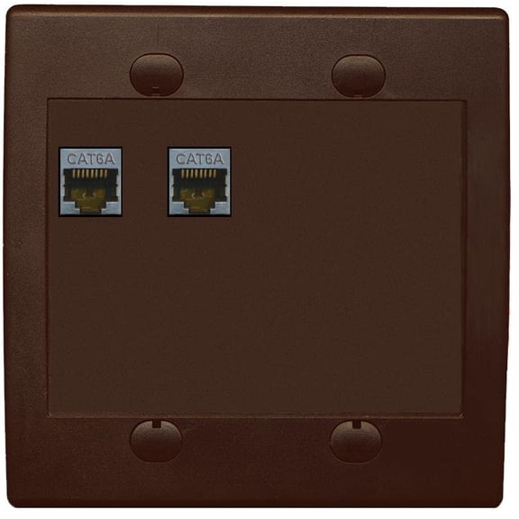 RiteAV 2 Port Cat6A Wall Plate - Flat 2 Gang [Brown/Brown]