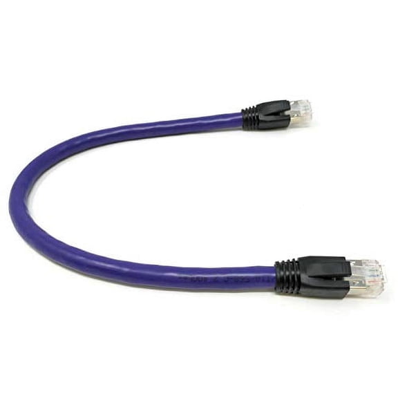 RiteAV - Cat8 Network Ethernet Cable - Purple - 1ft