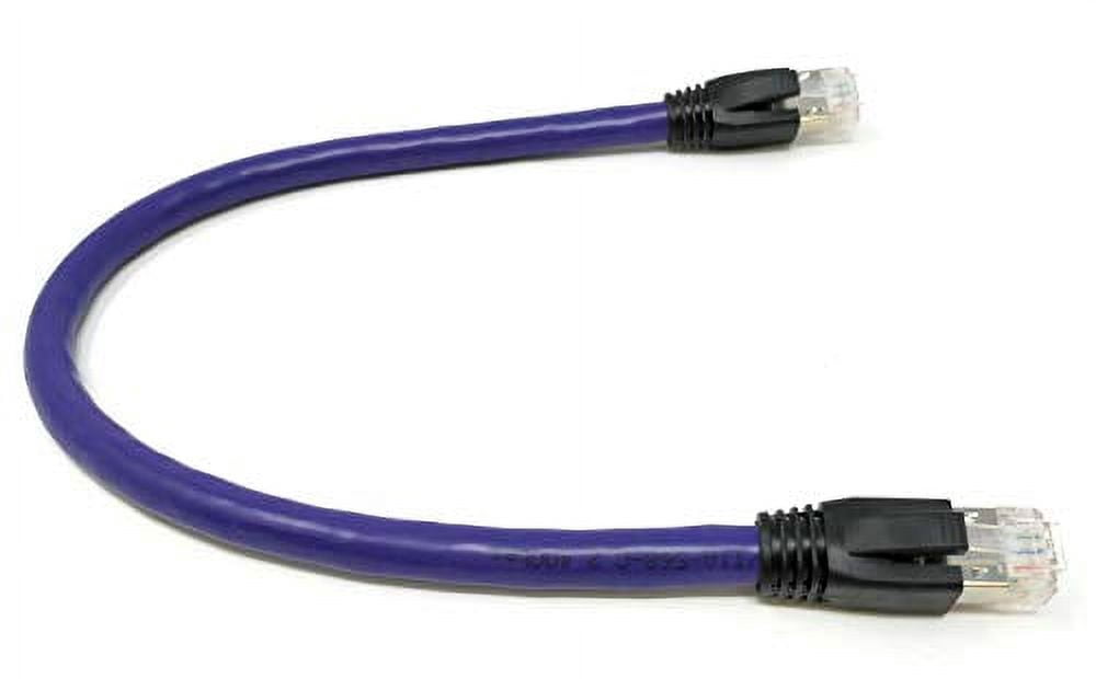 RiteAV - Cat8 Network Ethernet Cable - Purple - 3ft
