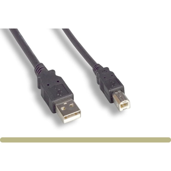 RiteAV - Long Midi Cable USB 2.0 Type-A to Type-B High Speed Cord for Audio Interface, Midi Keyboard, USB Microphone, Mixer, Speaker, Monitor, Instrument, Strobe Light System (15 Feet (5 Meter))