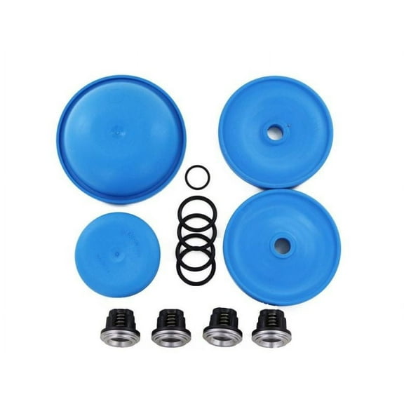 Rittenhouse Hypro D30 BlueFlex Diaphragm and Valve Repair Kit - Complete (D30REPAIRBLUE)