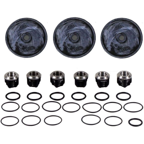 Rittenhouse Hypro D403 Buna Diaphragm and Valve Repair Kit - Complete (D403-RKBUNA)