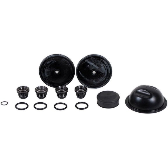 Rittenhouse Hypro D50 Diaphragm Pump Complete Repair Kit - D50REPAIRKIT