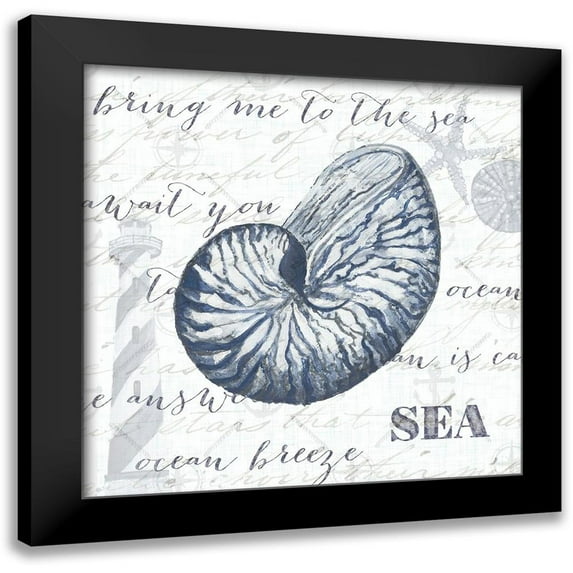 Ritter, Gina 12x12 Black Modern Framed Museum Art Print Titled - Indigo Shell II