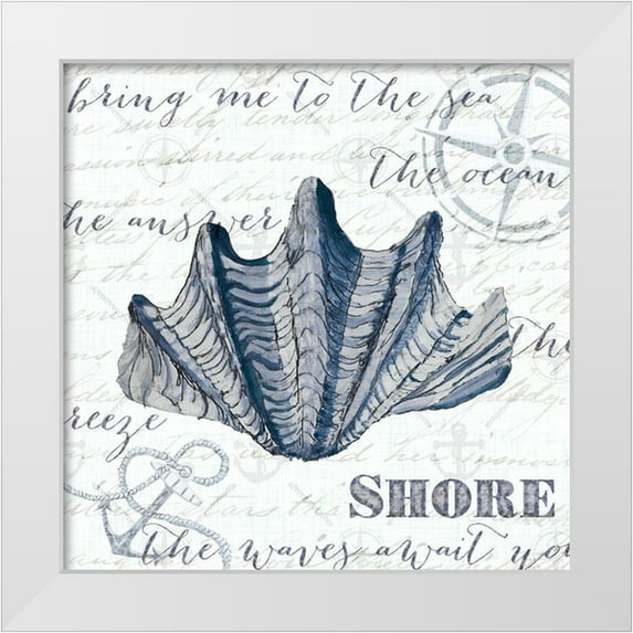 Ritter, Gina 20x20 White Modern Wood Framed Museum Art Print Titled - Indigo Shell I