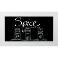 thumbnail image 1 of Ritter, Gina 32x18 White Modern Wood Framed Museum Art Print Titled - Spice Up Your Life, 1 of 4