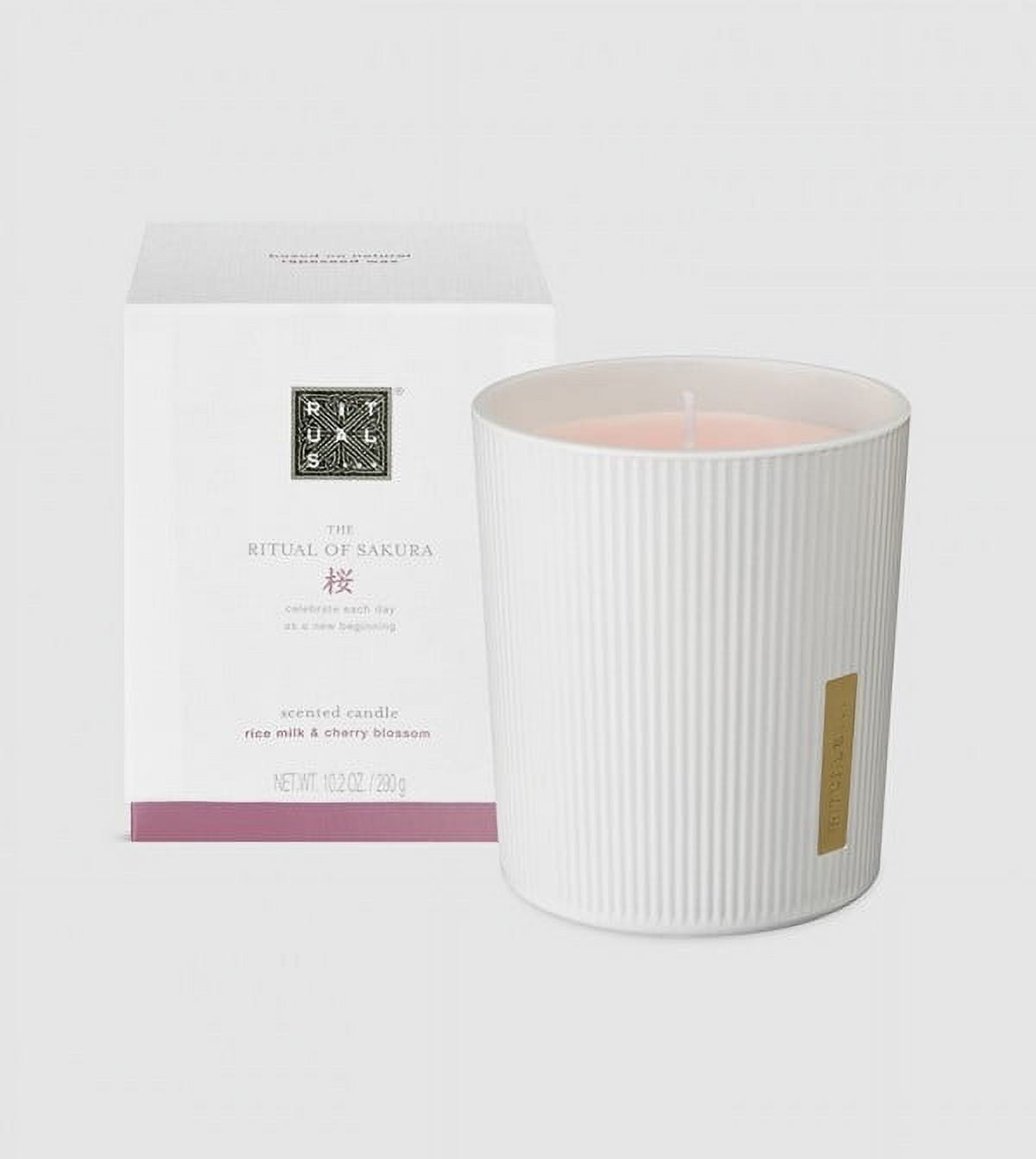 【追跡あり/匿名配送】Cremation Ritual 4枚 commemorative-cremation-urns-