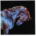 thumbnail image 1 of Rituals, 1 of 1