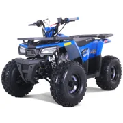 Rival Mudhawk 10 125cc Fully Automatic Mid Utility ATV