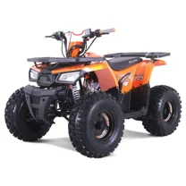 Rival Mudhawk 10 125cc Fully Automatic Mid Utility ATV