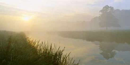 River Aln Dawn Canvas Art - Lee Frost (10 x 20)