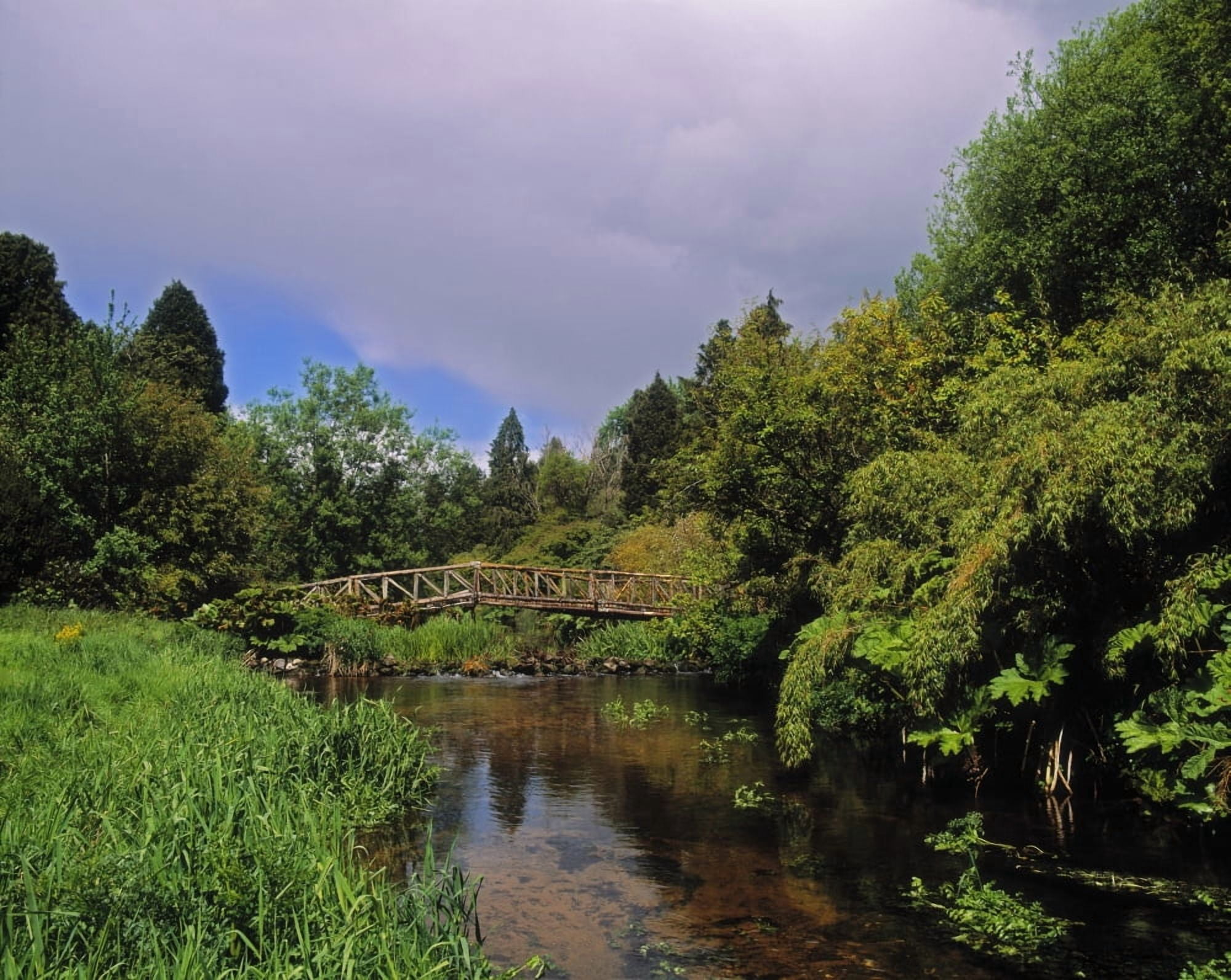 River Awbeg Annesgrove Castletownroche Co Cork Ireland Bridge Over A River Canvas Art - The Irish Image Collection Design Pics (32 x 24)