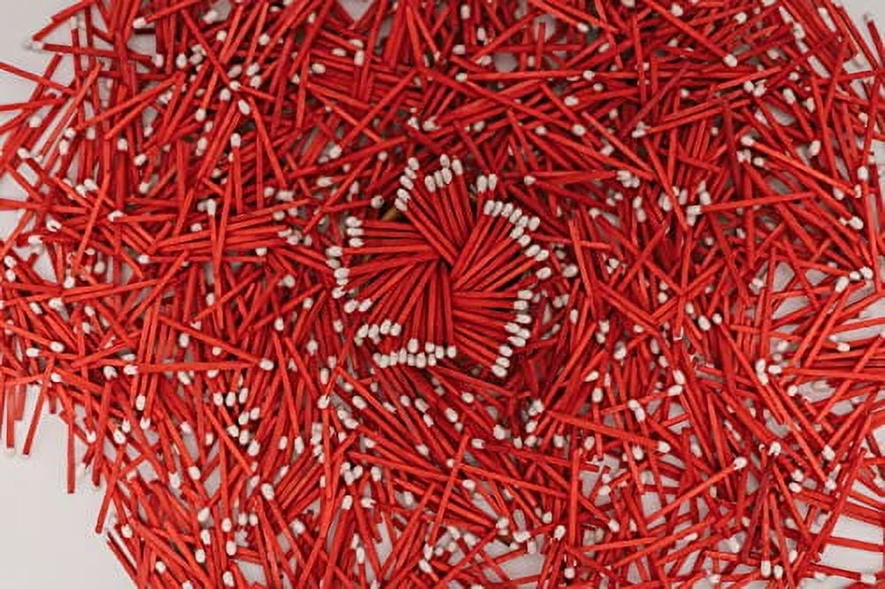 River Birch Peppermint Tip Decorative Matches | 400+ Small Premium ...