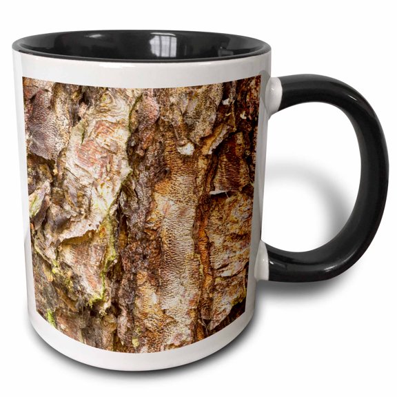 3drose, River Birch Tree, Washington Arboretum, Seattle - Us48 Dgu0232 - Darrell Gulin, 11oz Two-tone Black Mug