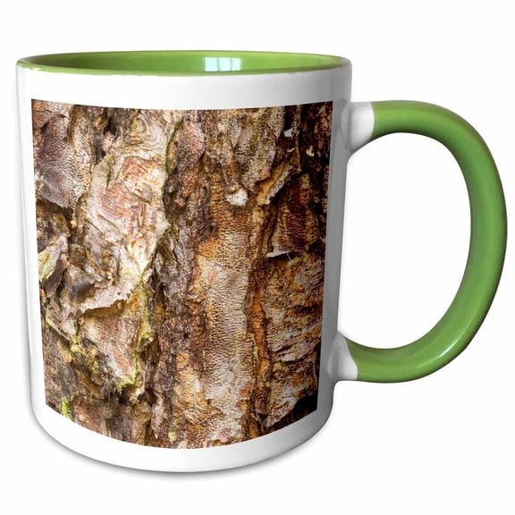 3drose, River Birch Tree, Washington Arboretum, Seattle - Us48 Dgu0232 - Darrell Gulin, 11oz Two-tone Green Mug