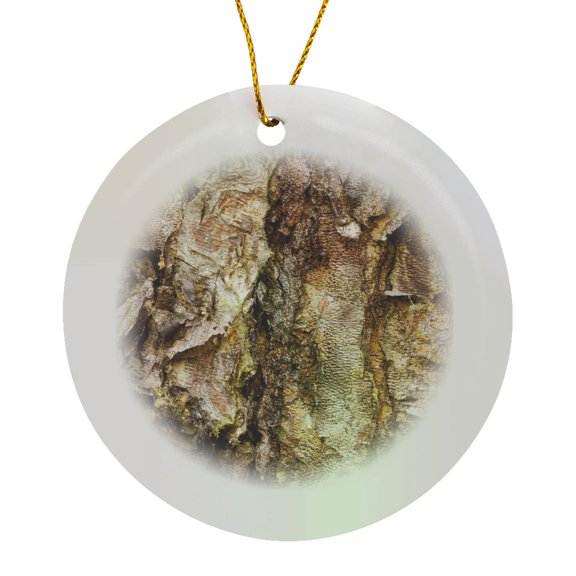 3drose, River Birch Tree, Washington Arboretum, Seattle - Us48 Dgu0232 - Darrell Gulin, Circle Porcelain Ornament