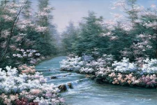 River Cascade Canvas Art - Diane Romanello (20 x 28)