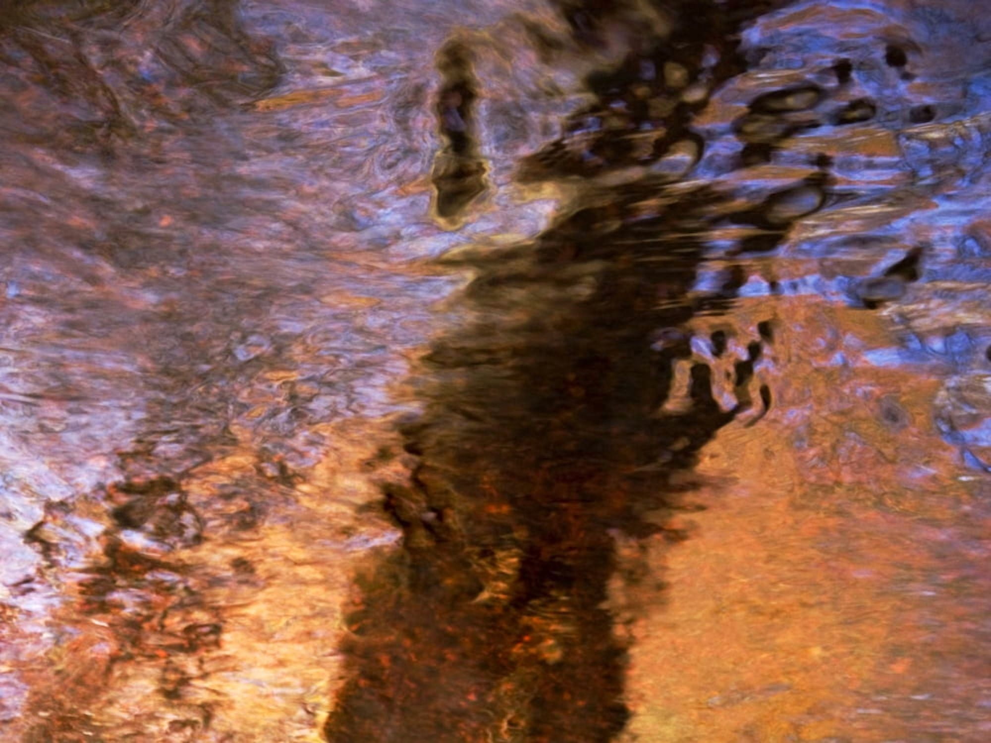 River Child Massachusetts Seekonk Caratunk Wildlife Refuge Colorful Reflections On Water Canvas Art - Joanne Baldaia Design Pics (16 x 12)