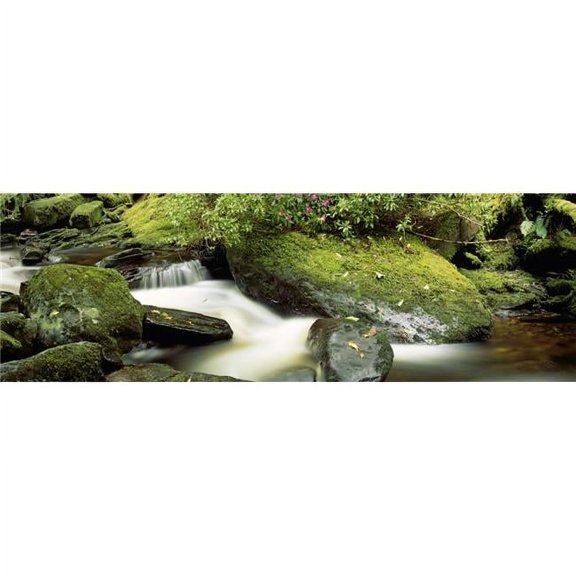 River Flowing Through A Forest Torc River Killarney Ring of Kerry County Kerry Republic of Ireland Poster Print by The Irish Image Collection, 44 x 14 - Large