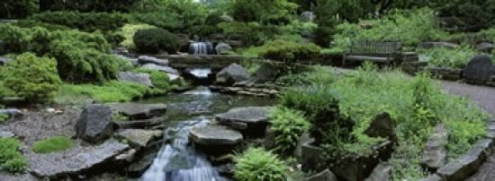 River Flowing Through A Forest Inniswood Metro Gardens Columbus Ohio USA Canvas Art - Panoramic Images (36 x 13)