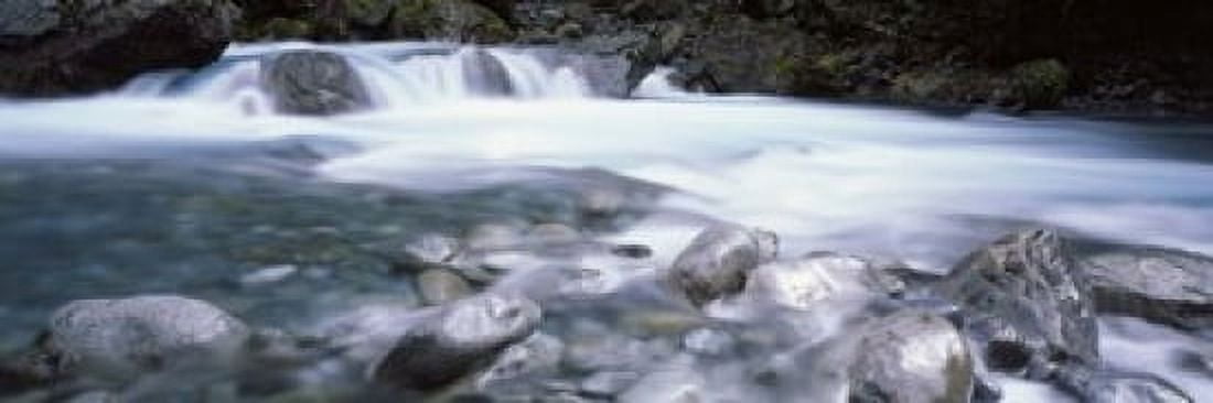 River Hollyford River Fiordland National Park South Island New Zealand Canvas Art - Panoramic Images (18 x 6)