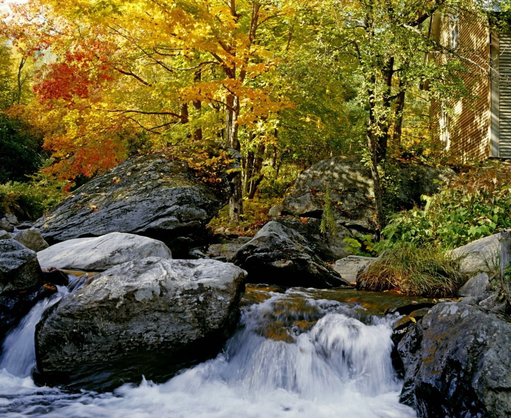 River In Autumn Canvas Art - David Chapman Design Pics (32 x 26)