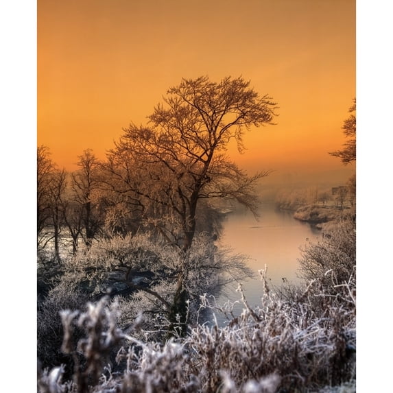 River Lagan Lagan Meadows County Antrim Belfast Ireland by The Irish Image Collection / Design Pics