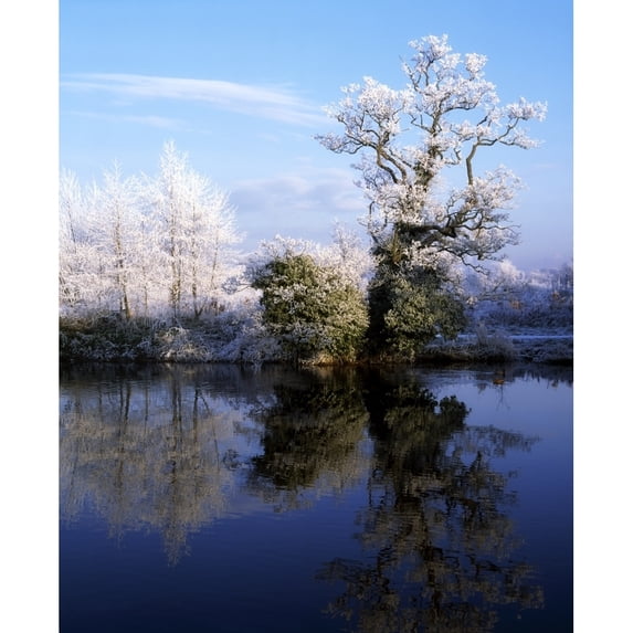 River Lagan Lagan Meadows County Antrim Belfast Ireland by The Irish Image Collection / Design Pics