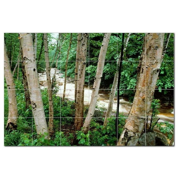 River Photo Ceramic Tile Mural Kitchen Backsplash Bathroom Shower, 405716-S64