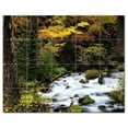 thumbnail image 1 of River Picture Ceramic Tile Mural Kitchen Backsplash Bathroom Shower, 405746-XL54, 1 of 3