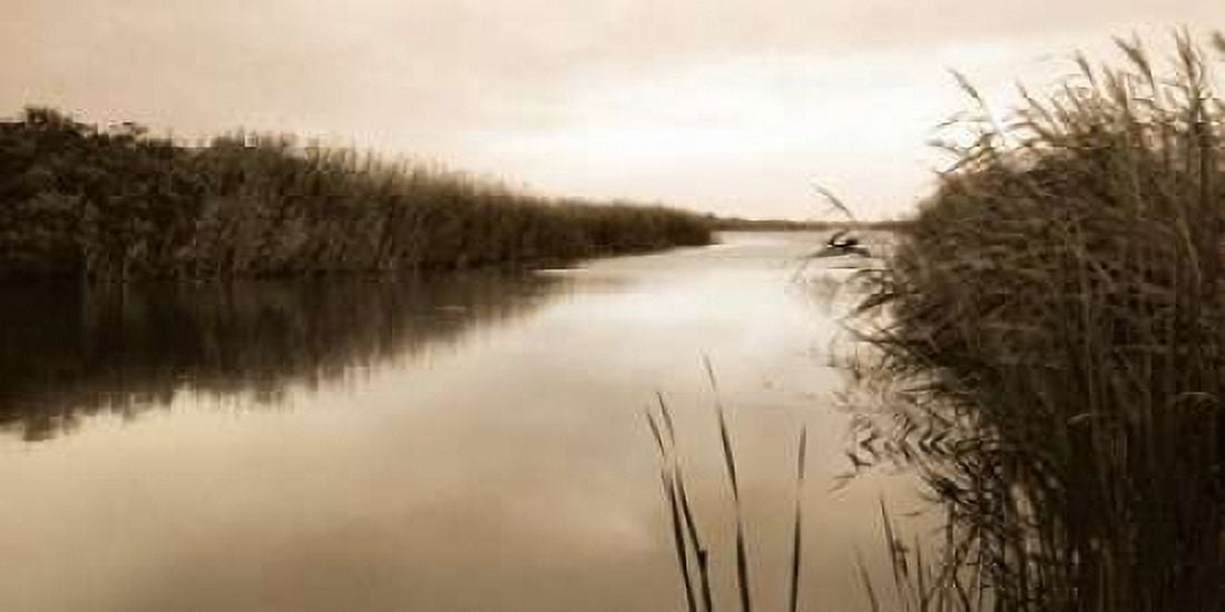 River Reeds Canvas Art - Christine Triebert (24 x 48)