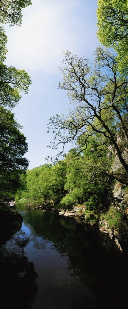 River Roe Roe Valley Limavady Co Derry Ireland River Through A Landscape Canvas Art - The Irish Image Collection Design Pics (12 x 30)