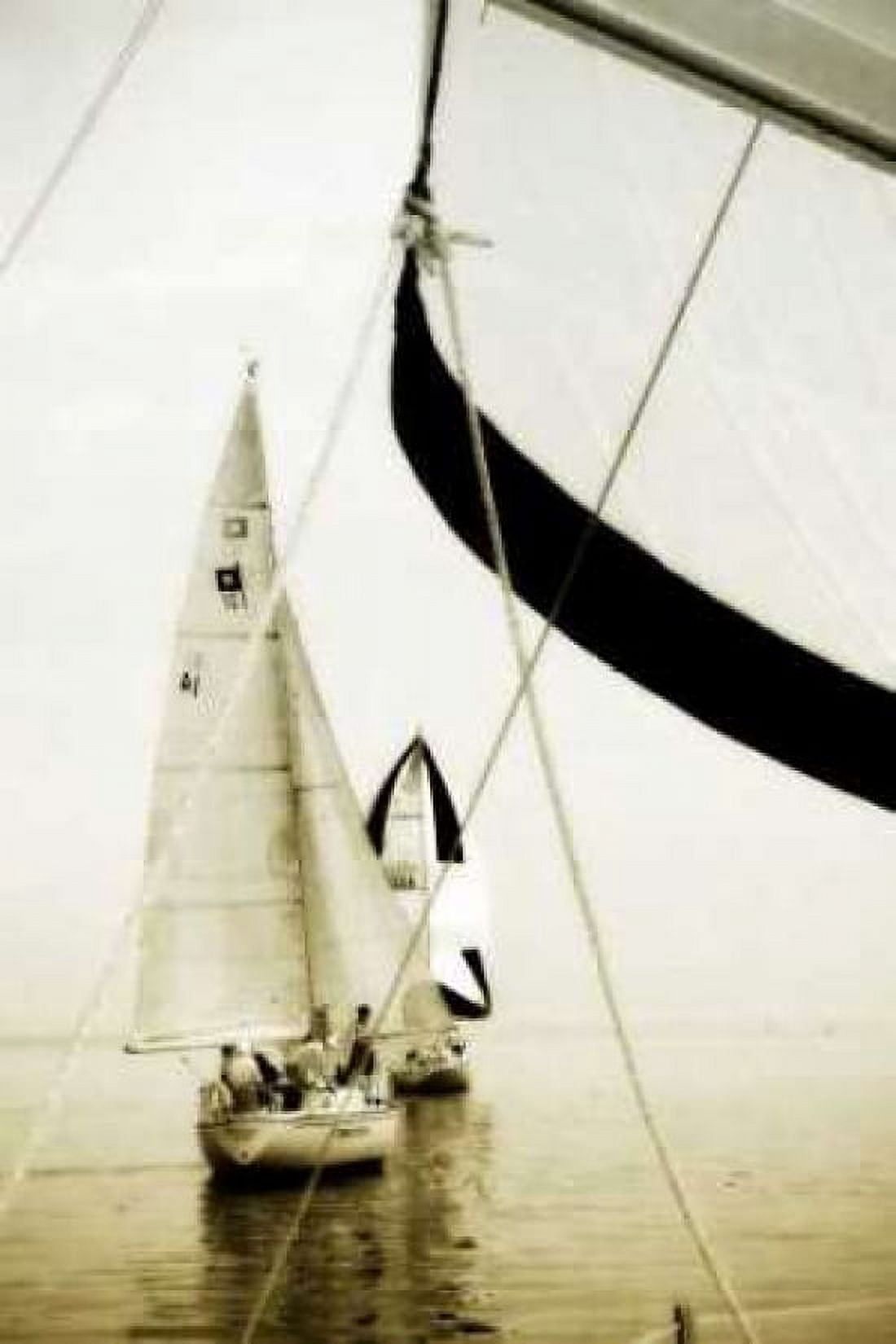 River Sailors II Canvas Art - Alan Hausenflock (20 x 28)