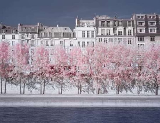 River Seine Infrared-Paris Canvas Art - David Clapp (22 x 28)
