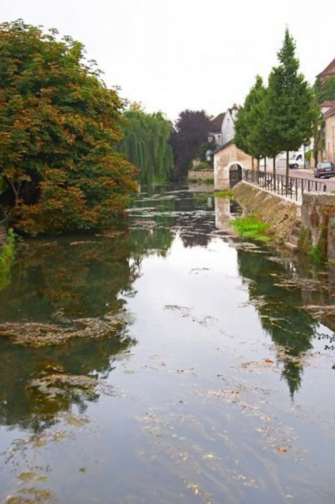River Serein Flowing Through Chablis in Bourgogne France Canvas Art - Per Karlsson DanitaDelimont (24 x 36)