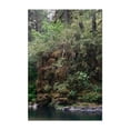 thumbnail image 1 of River Stones and Mossy Grasses - Oregon Photography Forest Woodland Nature Wilderness Scenic Lake Water Unframed Wall Art Print 4 x 6 inches, 1 of 60